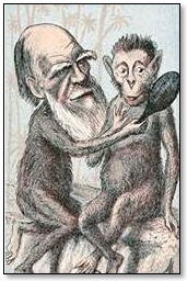 Caricature of Charles Darwin with a  monkey